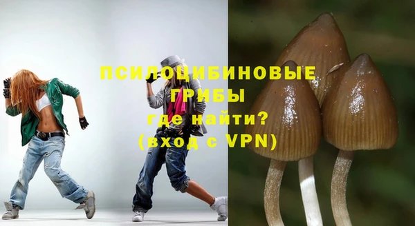 дурь Арсеньев