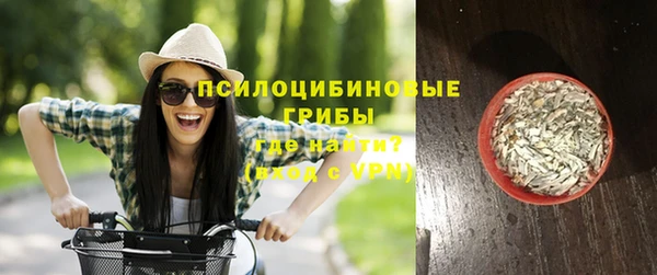 ПСИЛОЦИБИНОВЫЕ ГРИБЫ Армянск