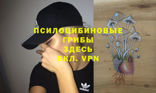 марки nbome Аркадак